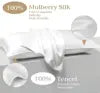 22mm 100% Pure Mulberry Silk Pillowcase and Tencel Lyocell Eucalyptus Fiber Soft Zipper Bright Glossy Real Silk Pillow Case