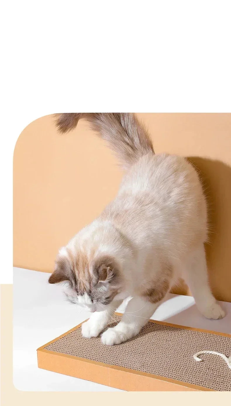 Cat Scratching Board Mat Scraper Claw Paw Toys Cat Scratcher Equipment Kitten Product Abreaction Furniture Protector Cat Toys
