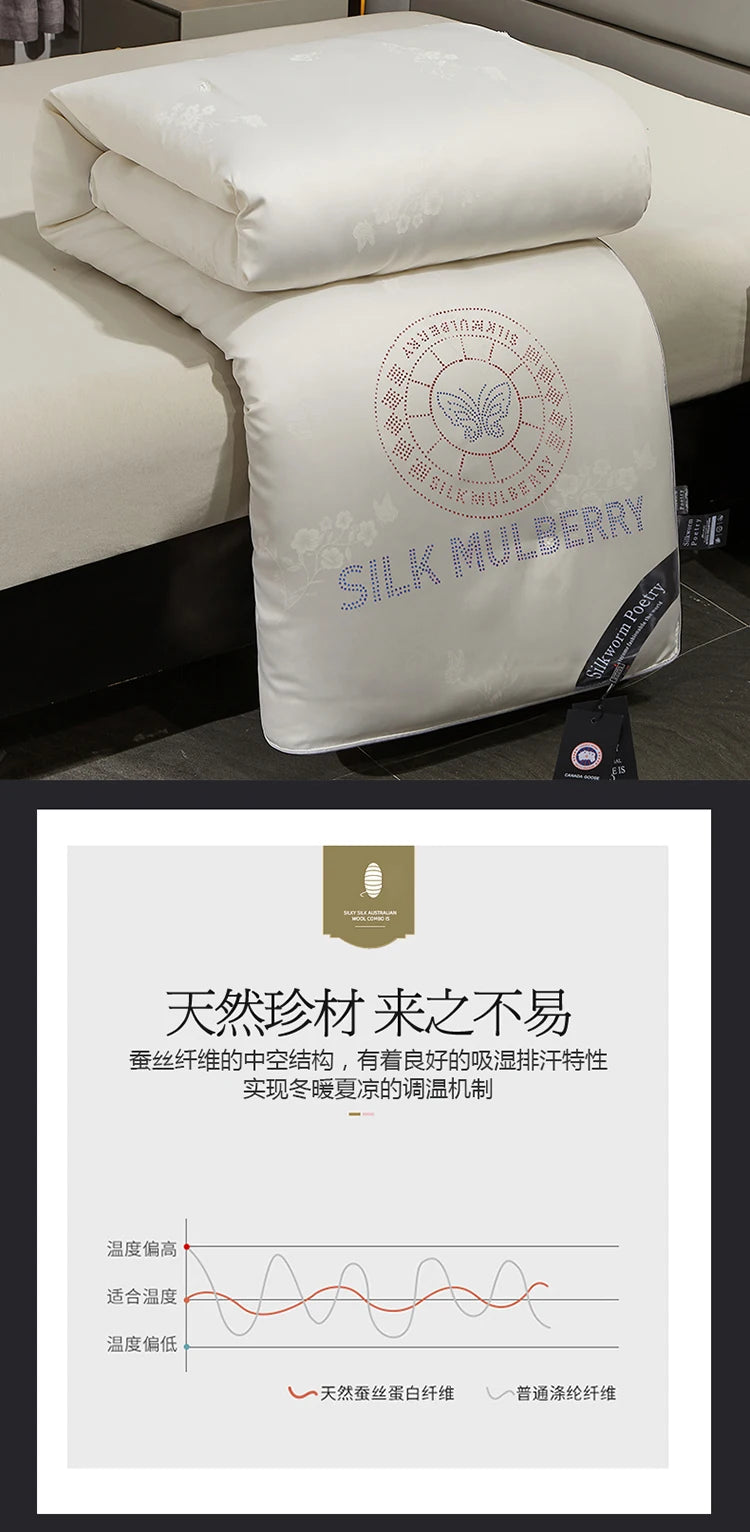 Genuine silk quilt 100% mulberry silk luxury warm quilt spring autumn winter quilt single double comforter silk quilt core