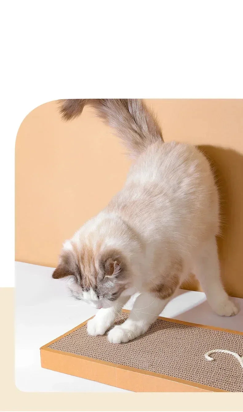 Cat Scratching Board Mat Scraper Claw Paw Toys Cat Scratcher Equipment Kitten Product Abreaction Furniture Protector Cat Toys