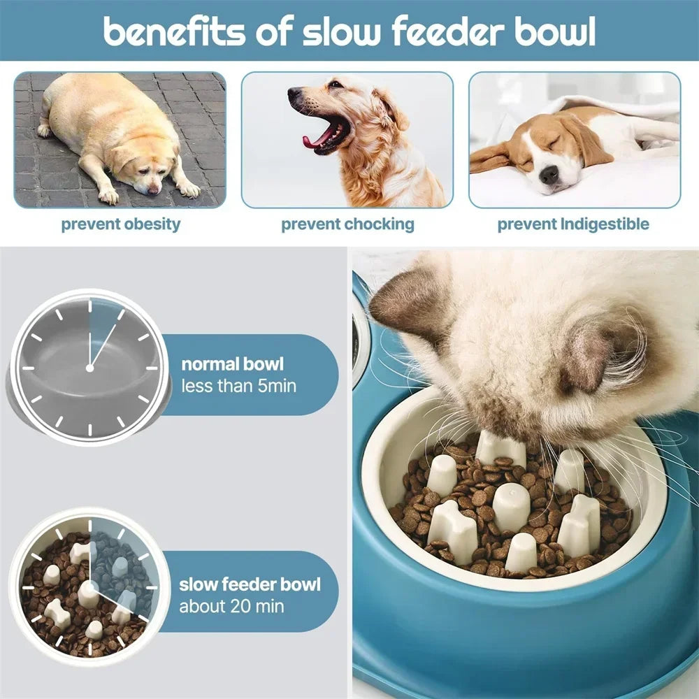 Anti-slip Double Dog Bowl Stainless Steel Water Food Feeder Pet Feeding Drinking Bowls for Dogs Cats with Silicone Mat Durable