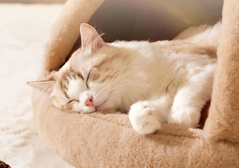 Pet Cat Cave House Foldable Tent Soft Dog Bed Mongolian Yurts Cute Kennel Nest Small Animals Puppy Chihuahua House With Mat