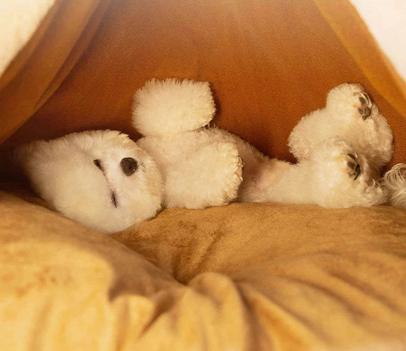 Pet Cat Cave House Foldable Tent Soft Dog Bed Mongolian Yurts Cute Kennel Nest Small Animals Puppy Chihuahua House With Mat