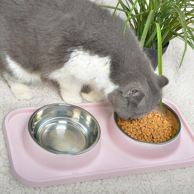 Dog Bowls Stainless Steel Dog Bowl With No Spill Dog Food Bowl Non-Slip Mat Feeder Bowls Pet Bowl For Dogs Cats